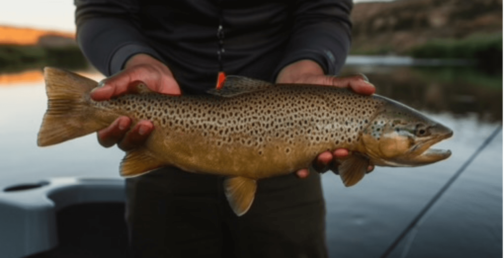 Half-Day Guided Float Trip | San Juan River | Fishing Jack Guide Service