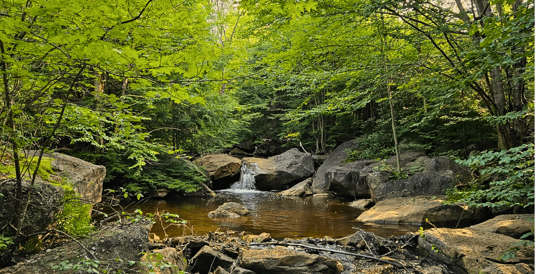 8-Hour Guided Walk & Wade Fly Fishing | Penns Creek, PA | Wild Guiding