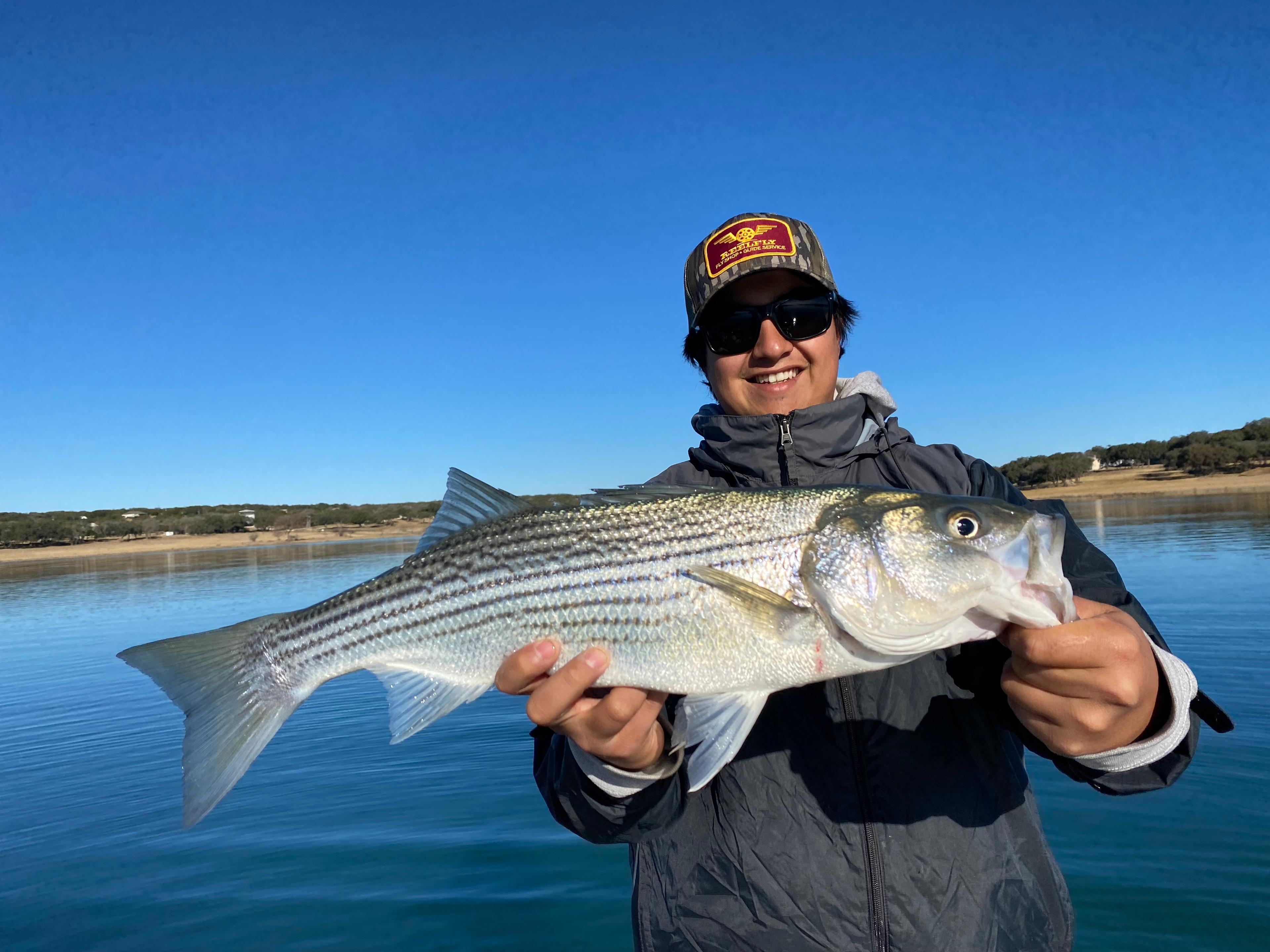 Guided Full-Day Striped Bass Fishing | Canyon Lake | Grateful Angler