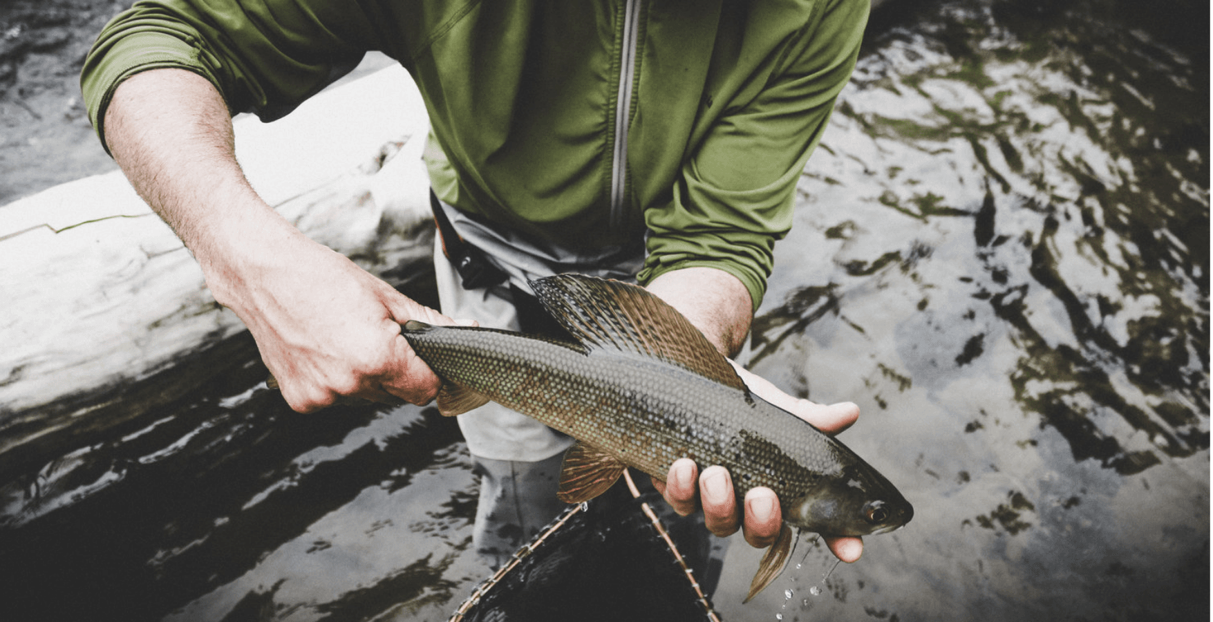 1 Guest Full-Day Walk & Wade | Parks HWY River System | FishHound Expeditions