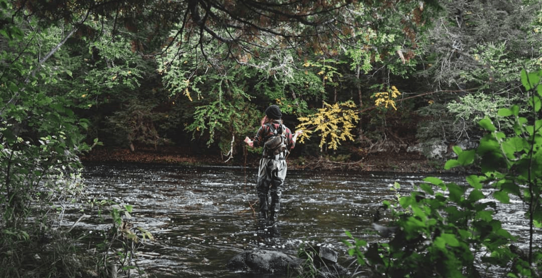 Half-Day Guided Fly Fishing | Ottawa National Forest | Stream Stalker