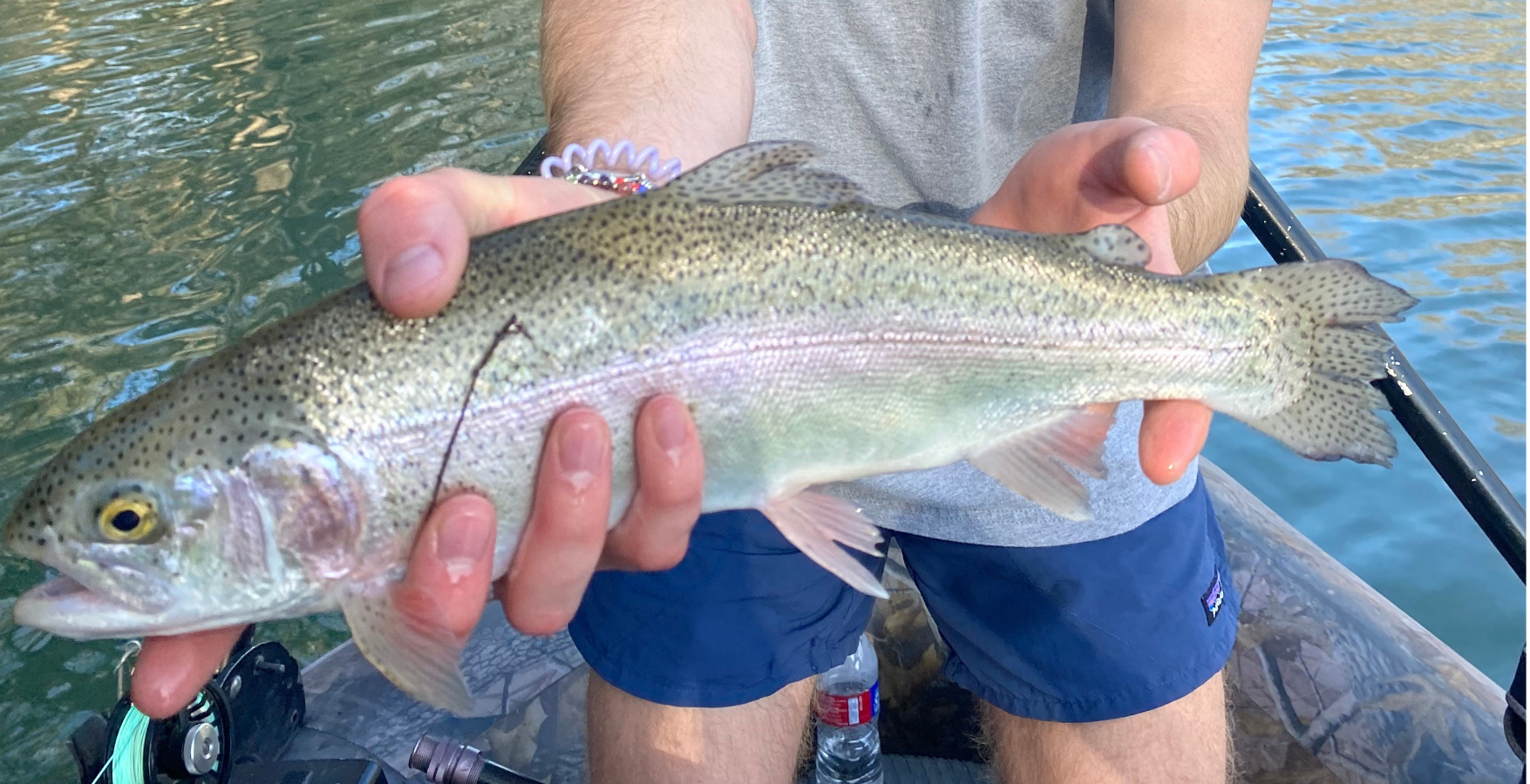 Guadalupe River | Trout Fishing Guided 3/4-Day | Grateful Angler