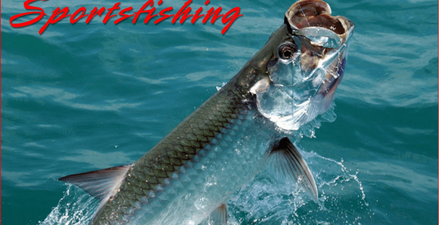 5-Hour Tarpon Fishing Charter | St. Petersburg, FL | Barracudaville Charters