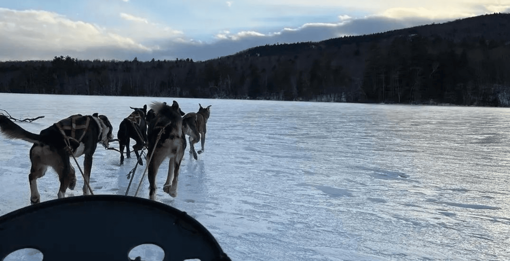 1-Hour Dog Sledding Weekday Experience | Canton, ME | Ultimate Dog Sledding Exp.