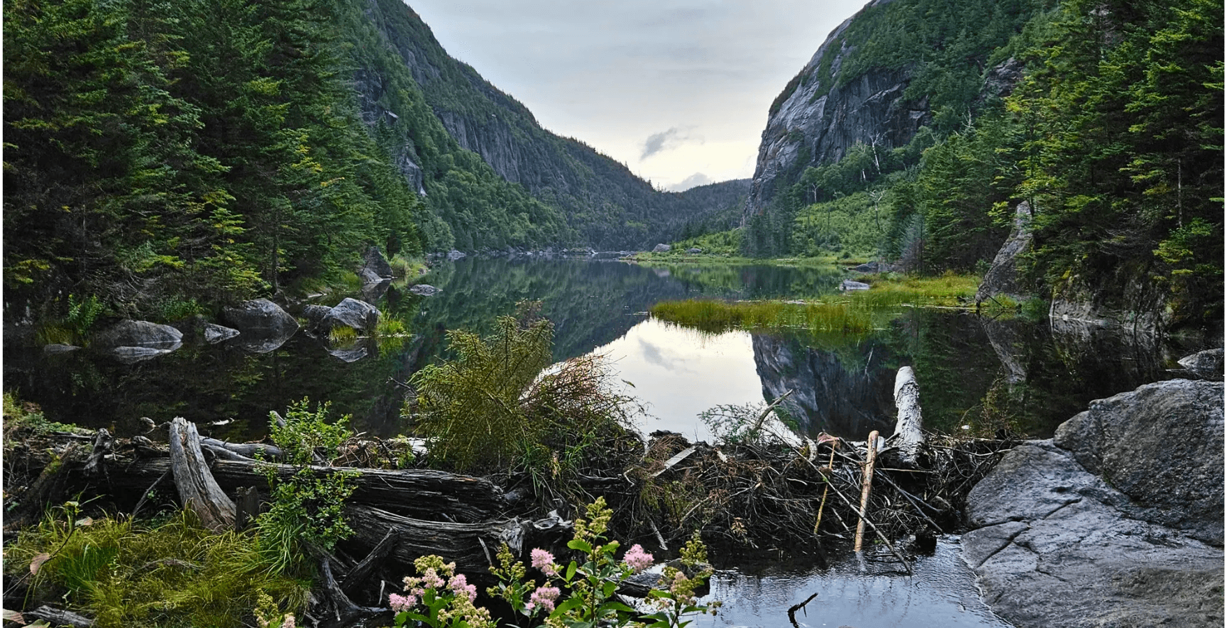 Full-Day Guided Scenic Floats | Delaware River | Gondella Outdoors