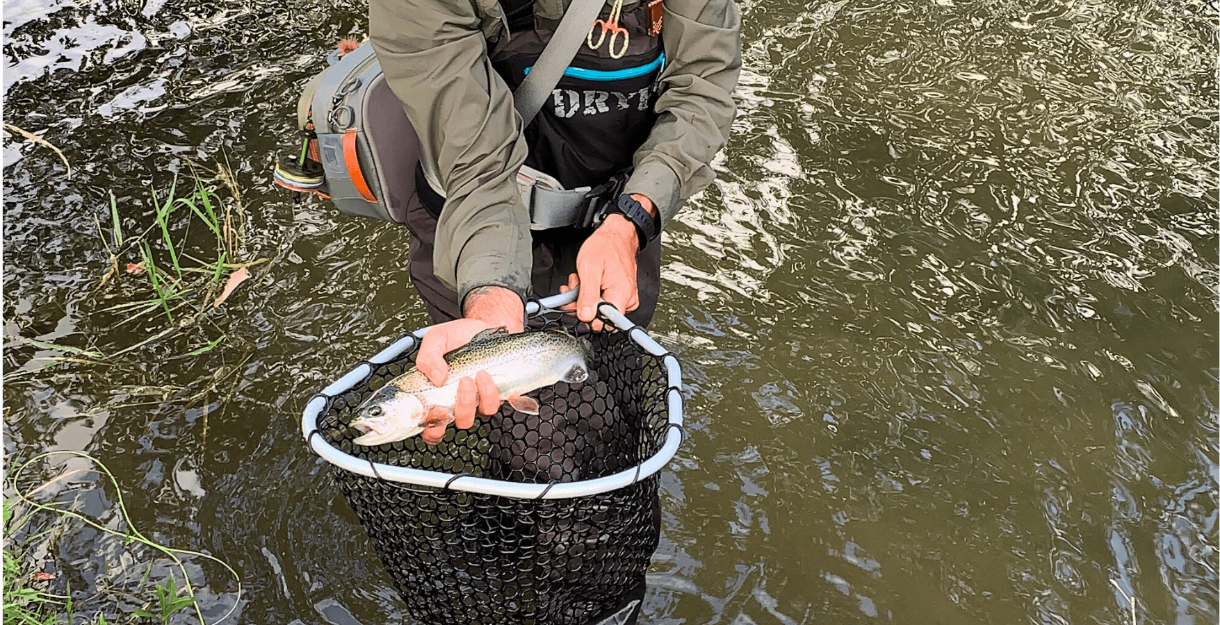 Half-Day Guided Walk & Wade Trips | Northeastern PA | Gondella Outdoors