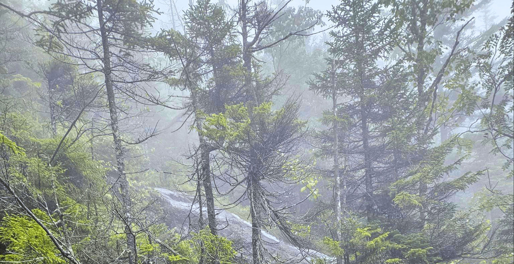 Full-Day Guided Hike | The Catskills Mountains, NY | Gondella Outdoors