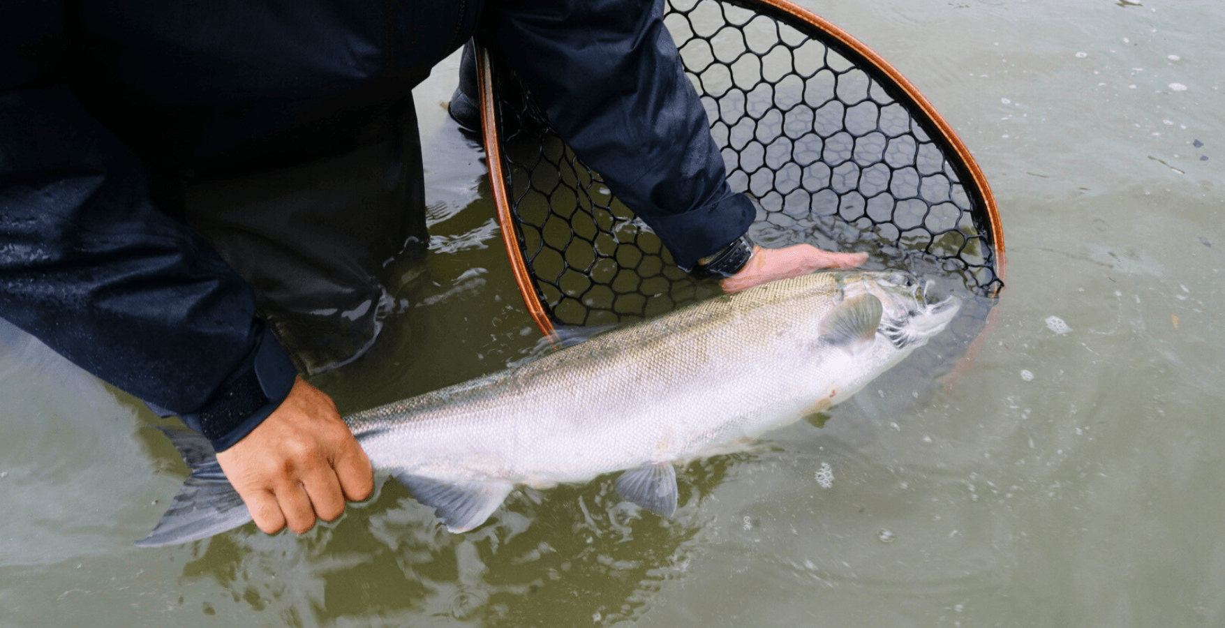 Full-Day Guided Fly Fishing | Skagit River | Treadwaters