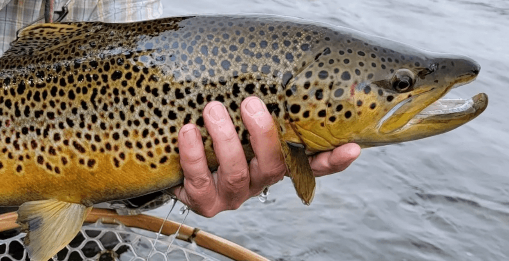 Guided Fly Fishing Float Trip | Jefferson River | Three Forks, Montana