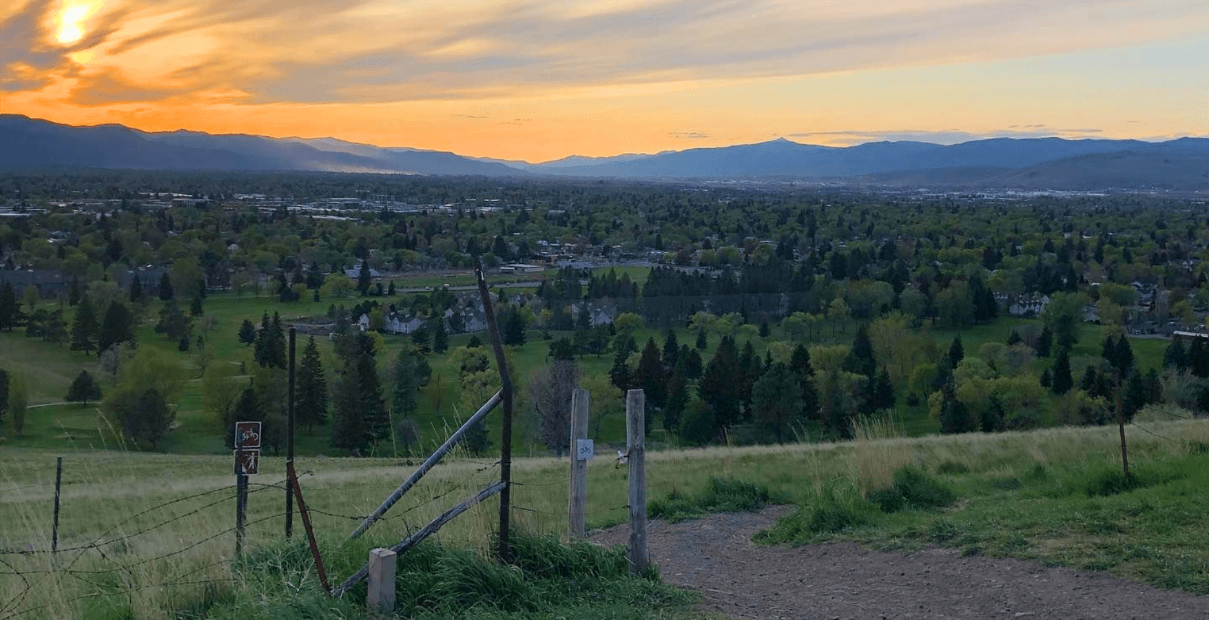 Half-Day Guided Bike Ride | Zootown Festival | Spotted Dog Cycling