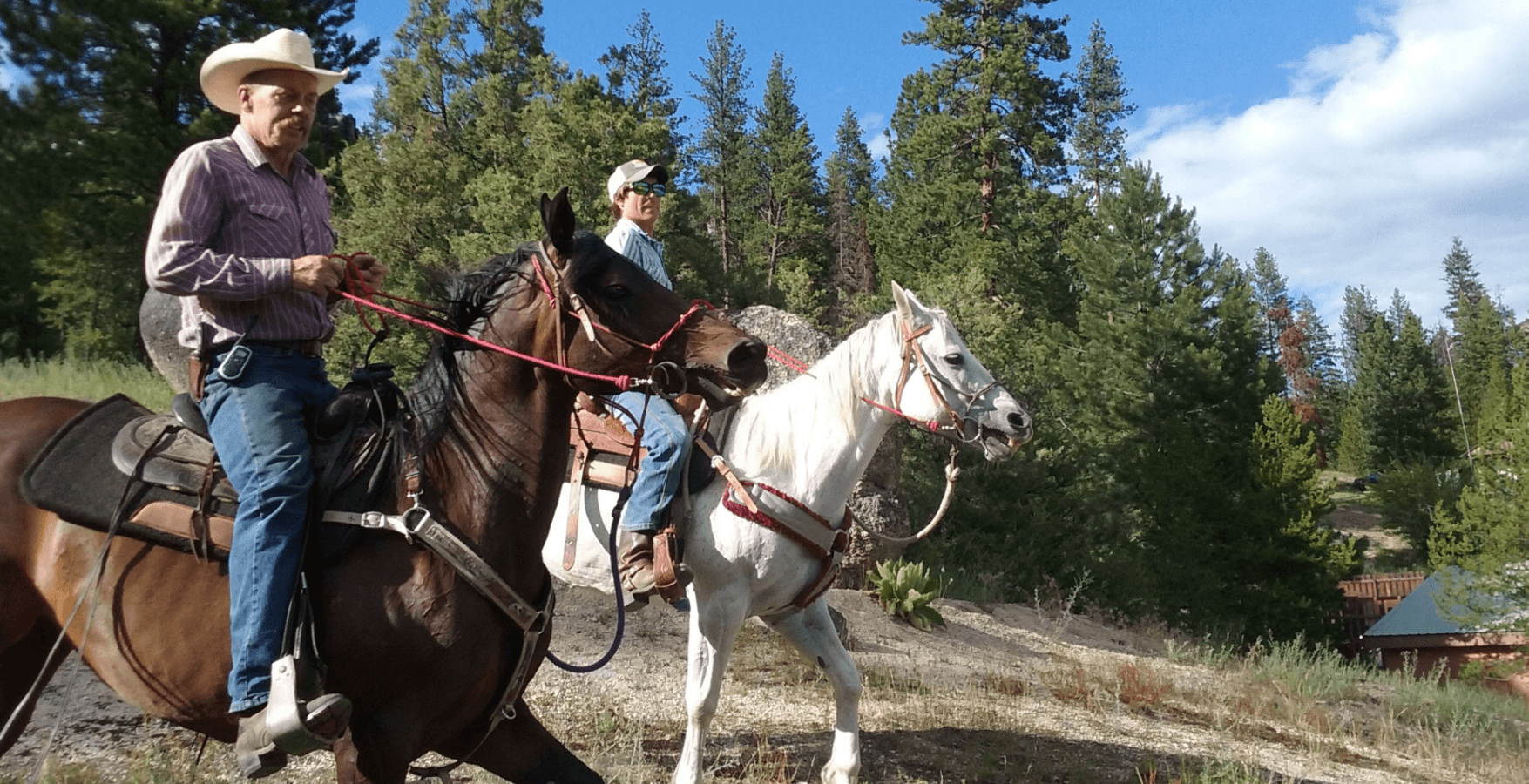 2-Hour Guided Trail Ride | Zootown Festival | Hidalgo Trail Rides