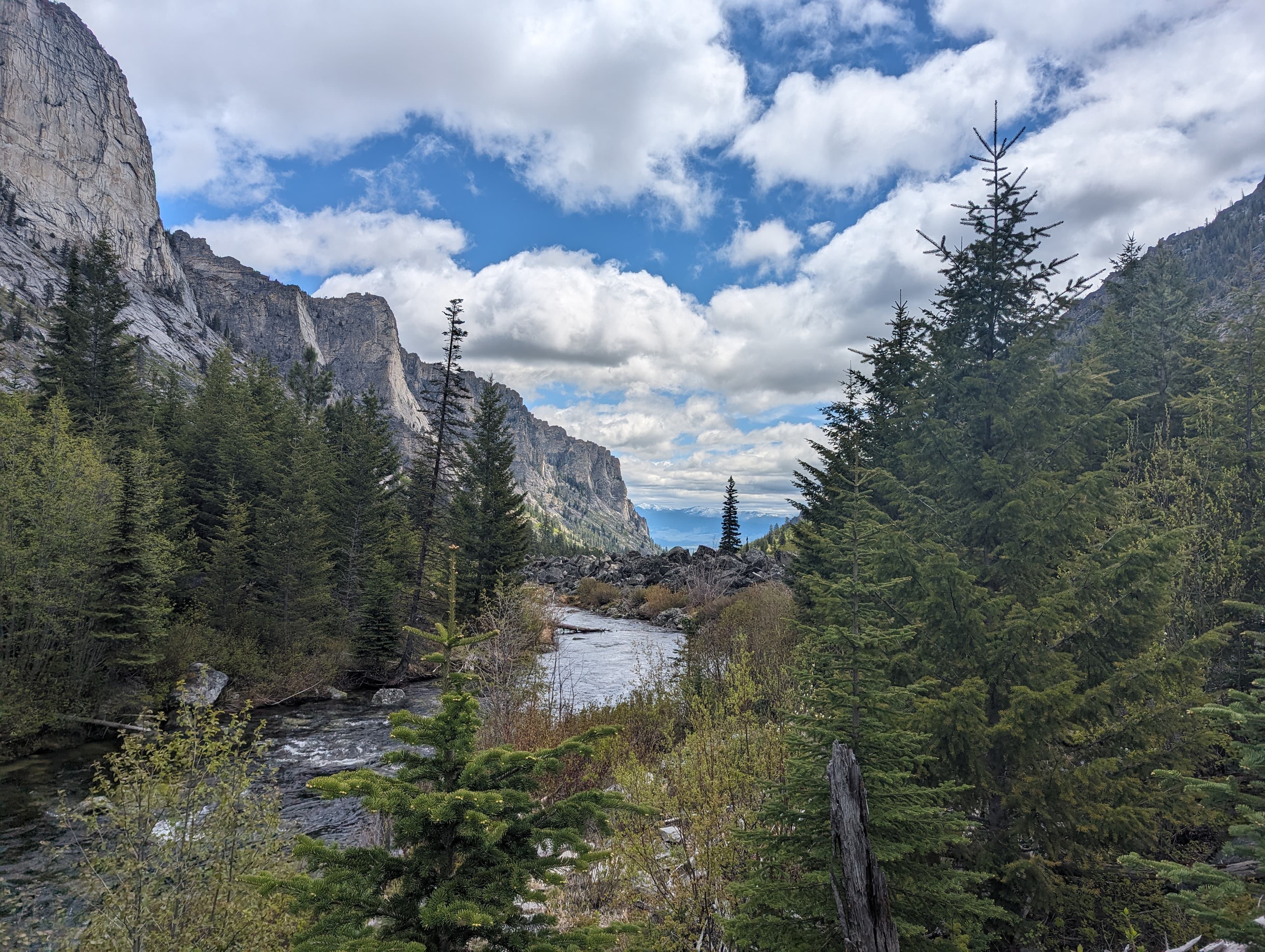 Half-Day Guided Canyon Falls Hike | Zootown Festival | Bitterroot Alpine Guides