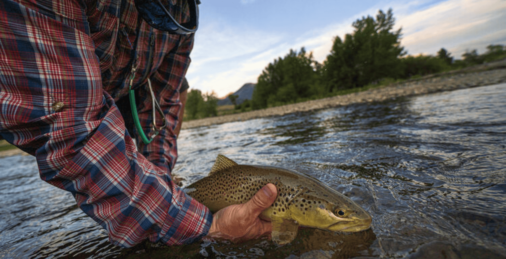 Full-Day Guided Walk & Wade Fly Fishing | Bozeman, MT | Rite Guides