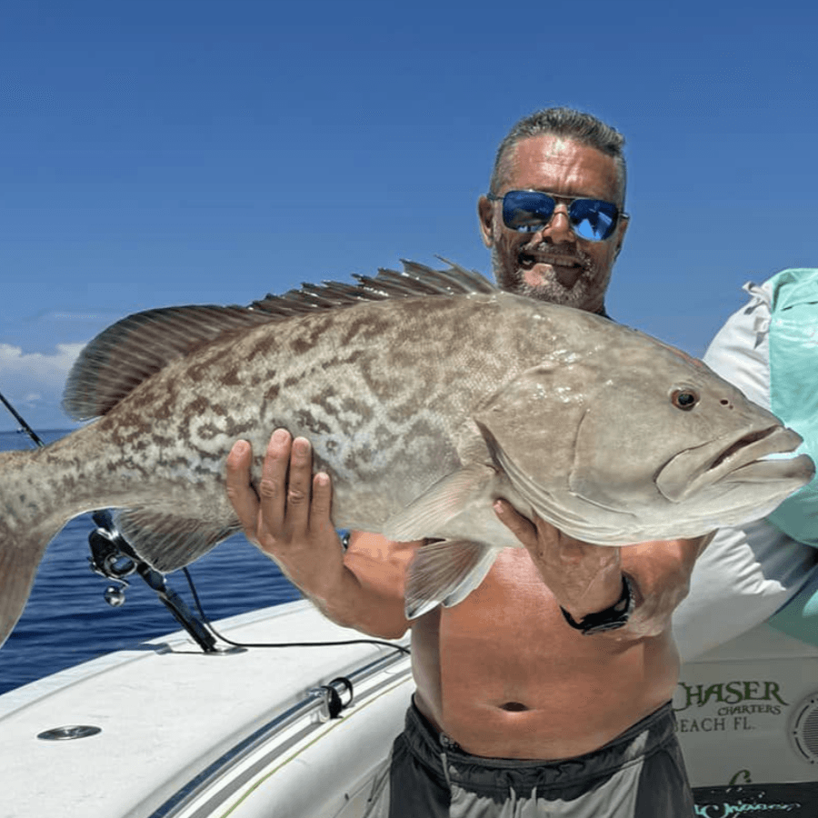 Guided Saltwater Fishing Charter | Offshore 6-Hours | Madeira Beach, Florida